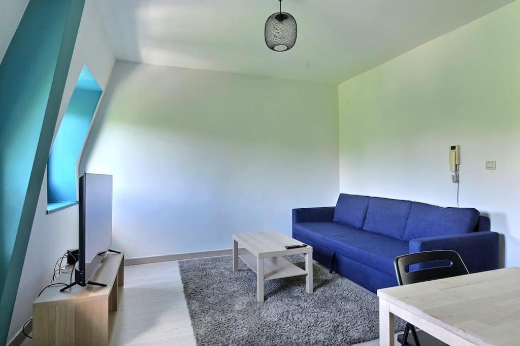 Tres Proche Centre-ville, Parking Gratuits, Centre * Mulhouse